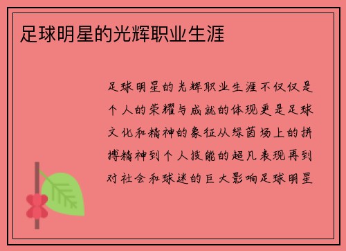 足球明星的光辉职业生涯
